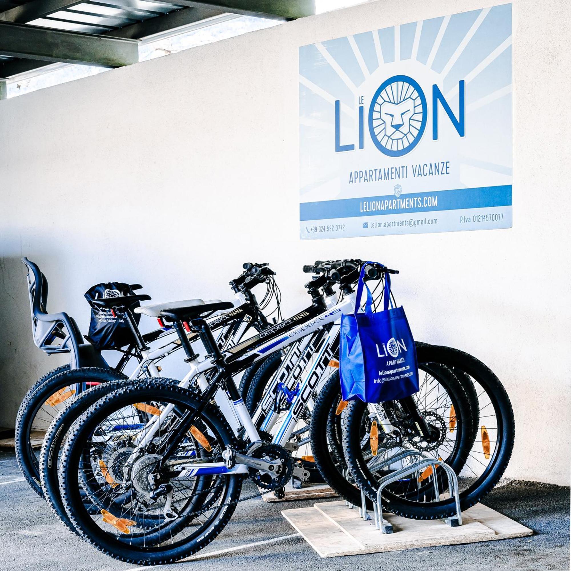 Le Lion Apartments - Bike & Ski Aosta Kültér fotó